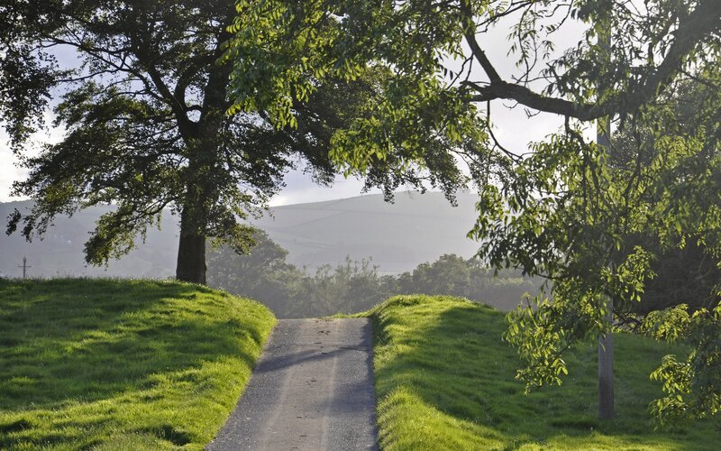 Path Between Grassy Hills — Green, Serene