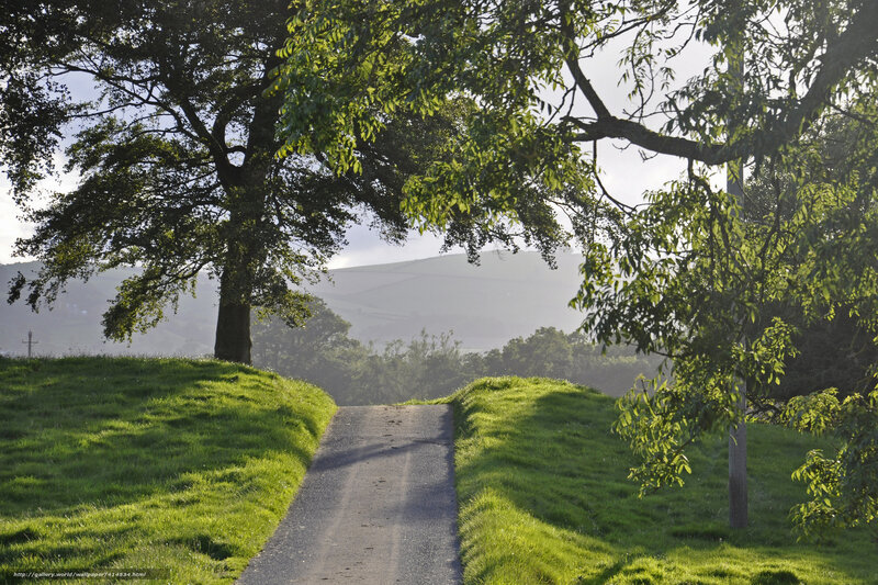 Path Between Grassy Hills — Green