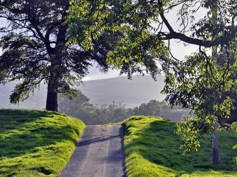 Path Between Grassy Hills