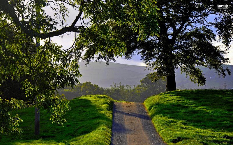 Path Between Green Hills — Serene