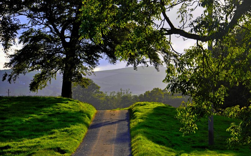 Path Between Green Hills