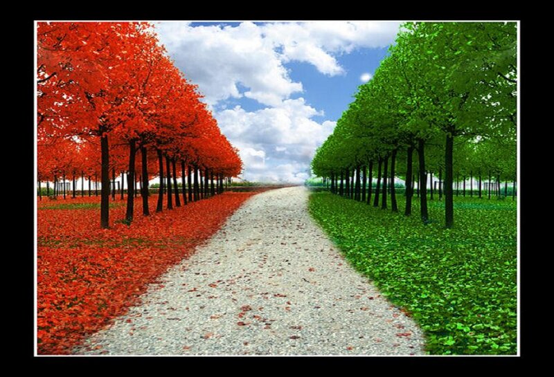 Path Between Red and Green Trees