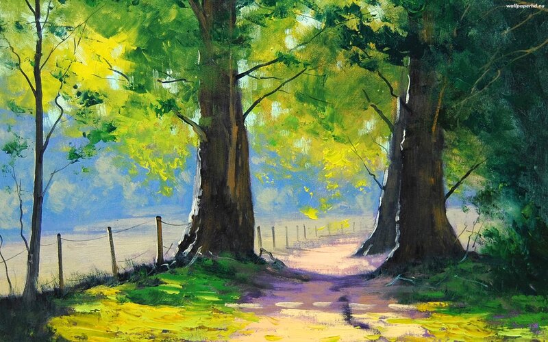 Path Between Trees — Green, Serene, Afternoon