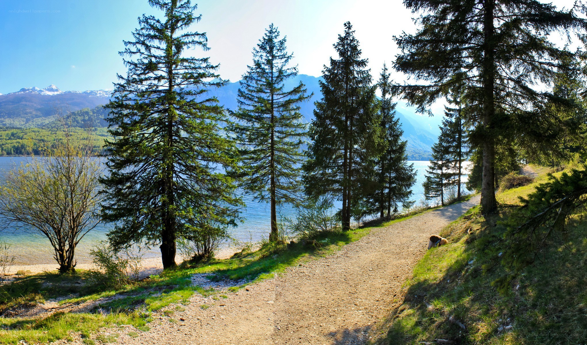 Path by a lake with mountains