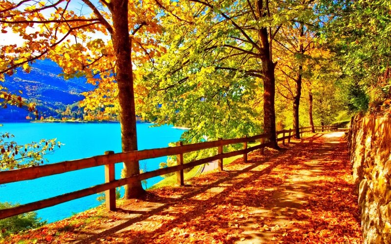 Path by Lake in Autumn — Blue