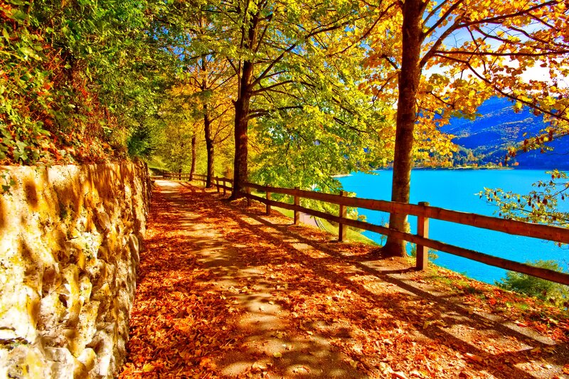 Path by Lake in Autumn