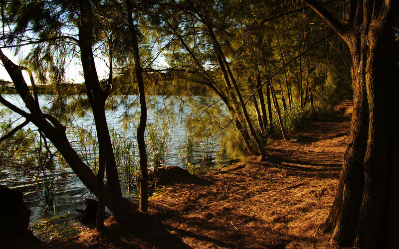 Path by the lake at sunset