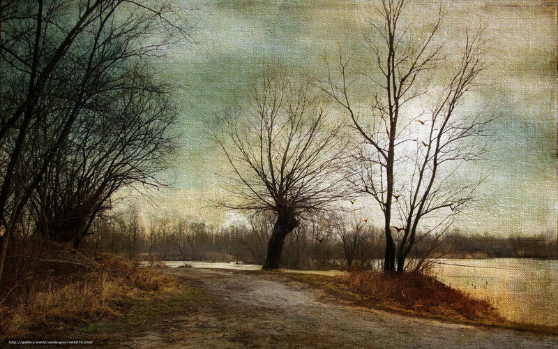 Path by the river at dusk