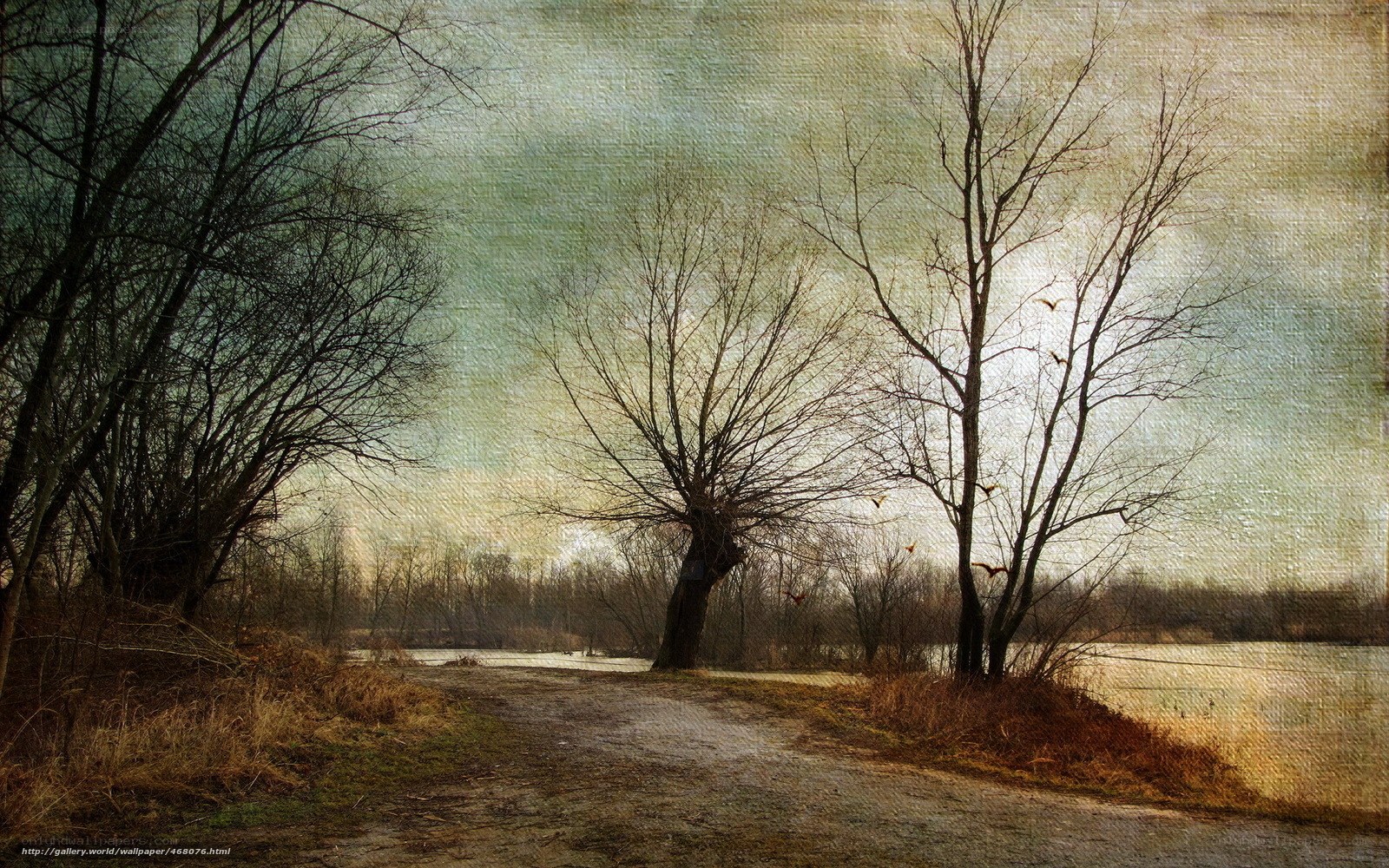 Path by the river at dusk