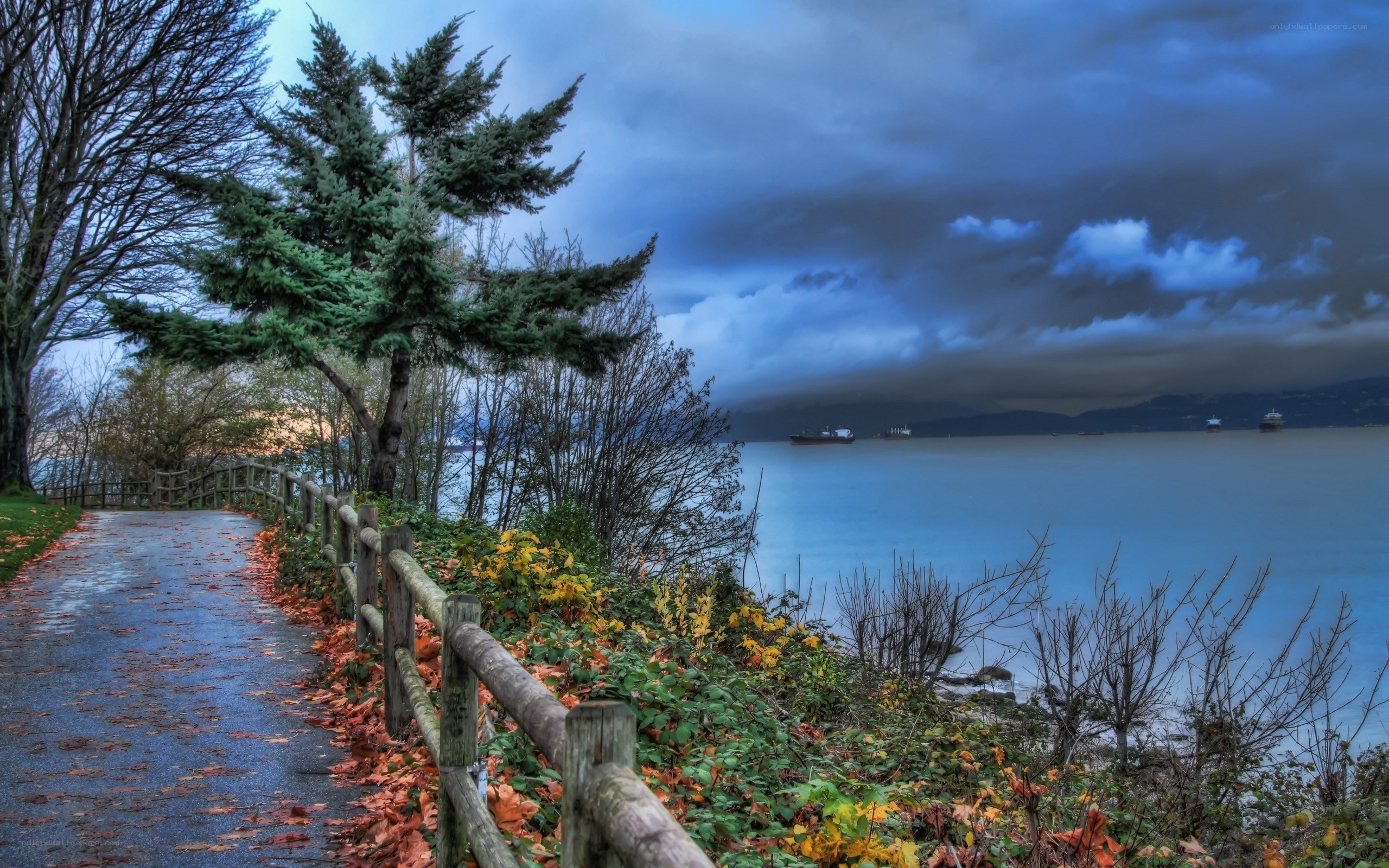 Path by the water at dusk