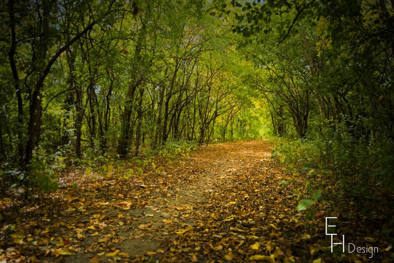 Path Covered in Leaves — Green