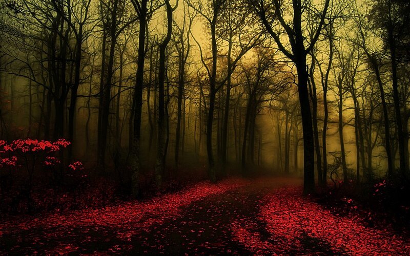 Path Covered in Red Leaves — Dark