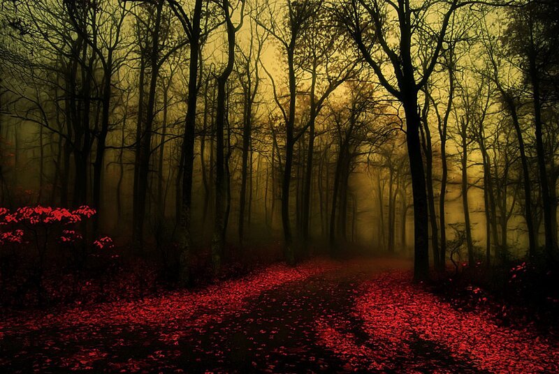 Path Covered in Red Leaves — Eerie
