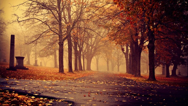 Path in Autumn Cemetery — Orange