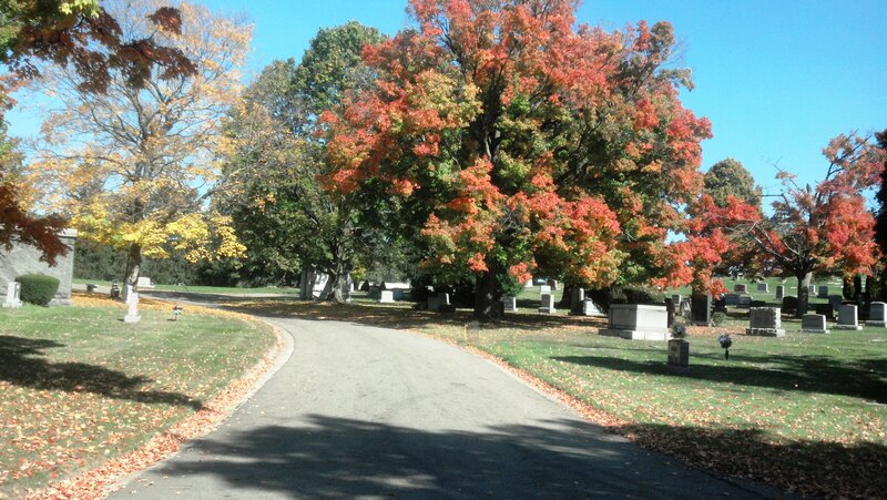 Path in Autumn Cemetery
