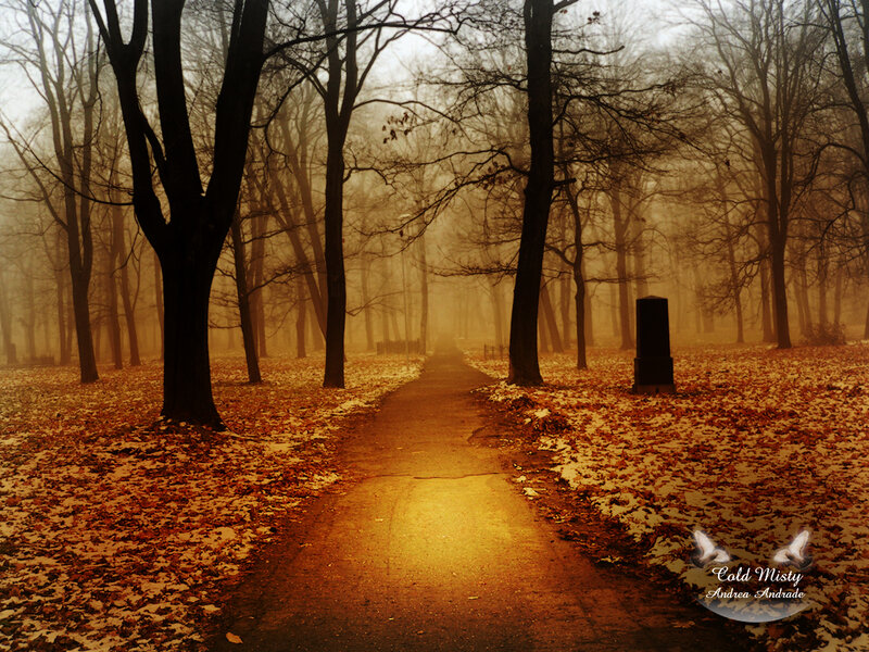 Path in Autumn Forest — Brown