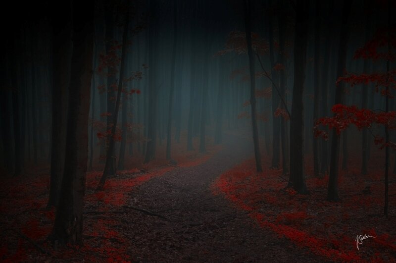 Path in Autumn Forest — Red, Mysterious