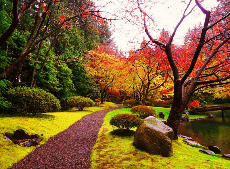 Path in Autumn Garden