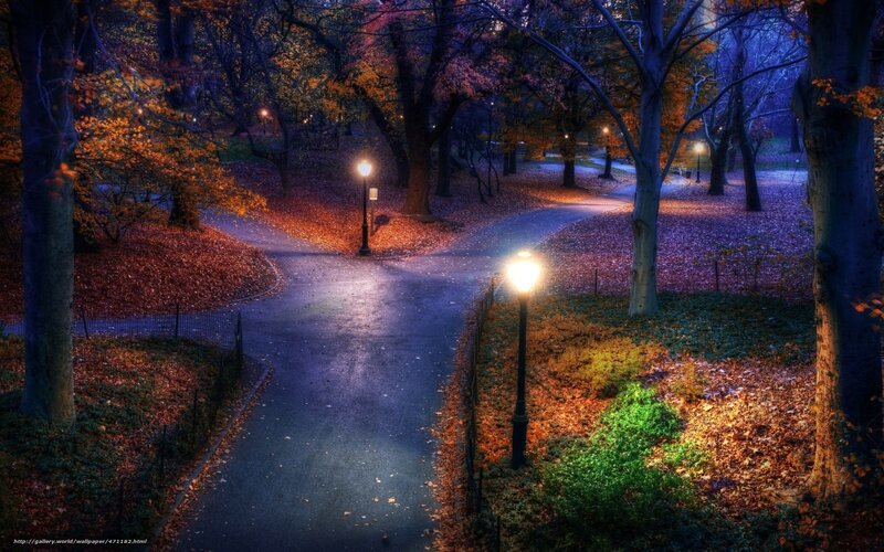 Path in Autumn Park — Blue, Serene