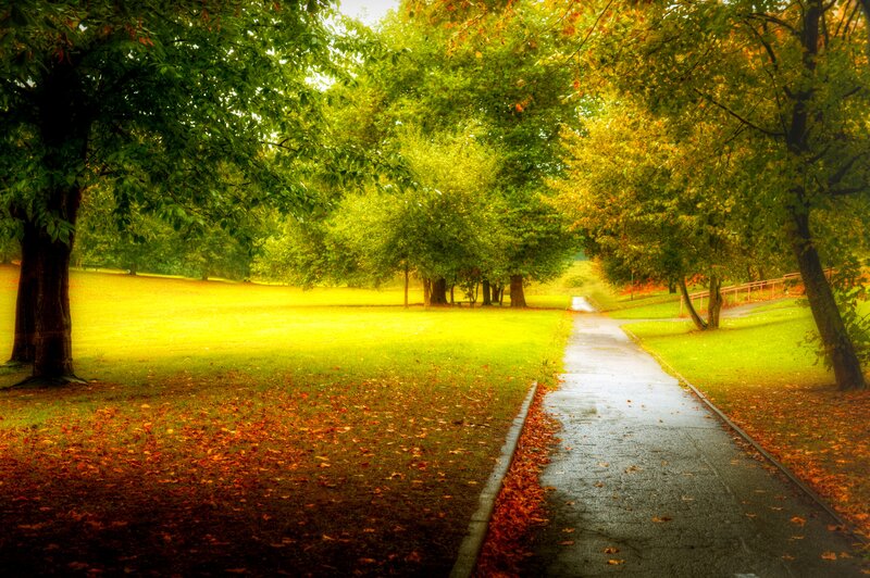 Path in Autumn Park — Green, Serene, Photograph, Trees