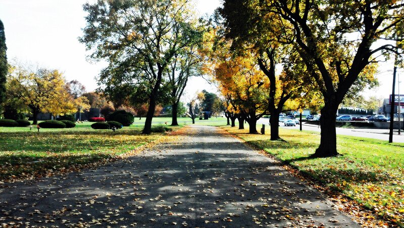 Path in Autumn Park — Green
