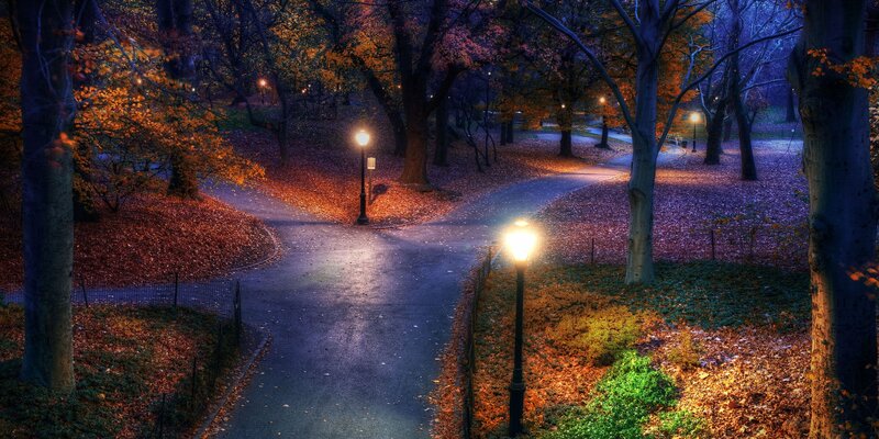 Path in Autumn Park — Orange, Serene, Night