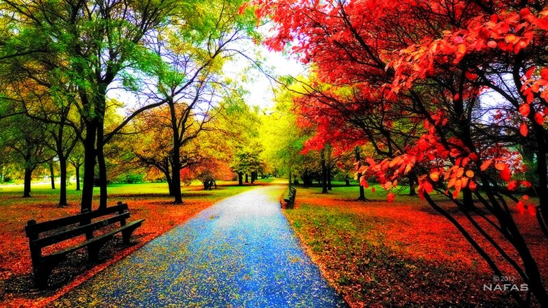 Path in Autumn Park — Red, Serene