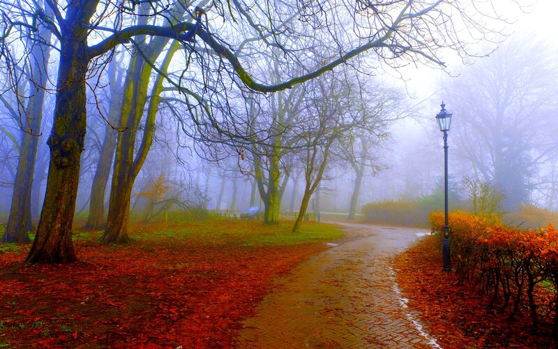 Path in Autumn Park — Red