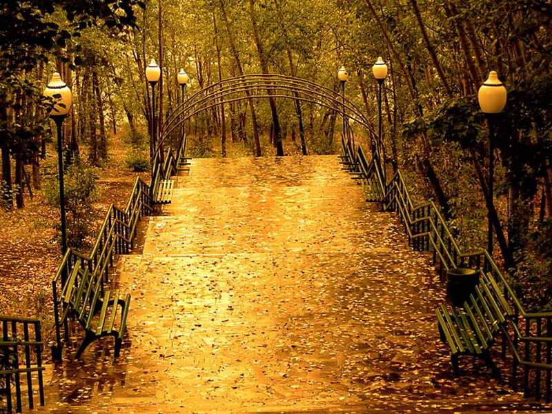 Path in Autumn Park