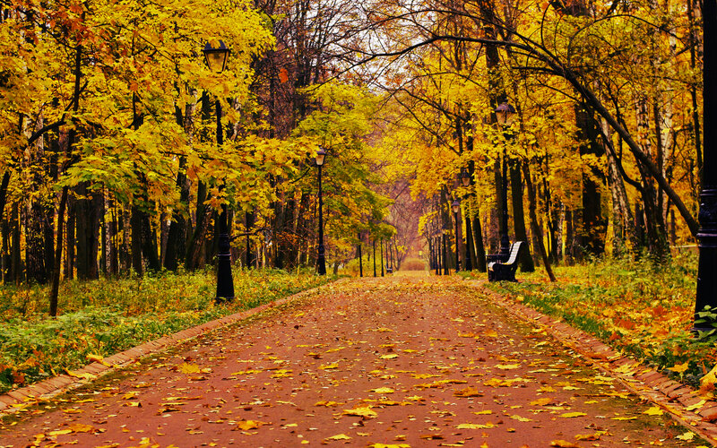 Path in Autumn Park — Yellow