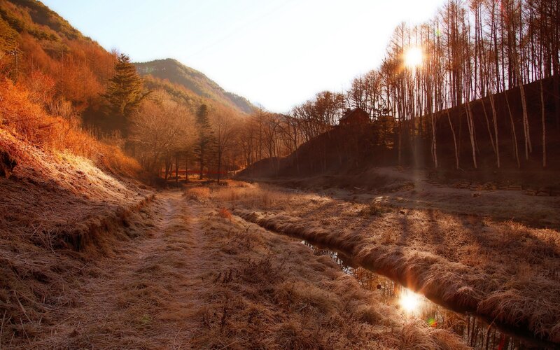 Path in Autumn Valley