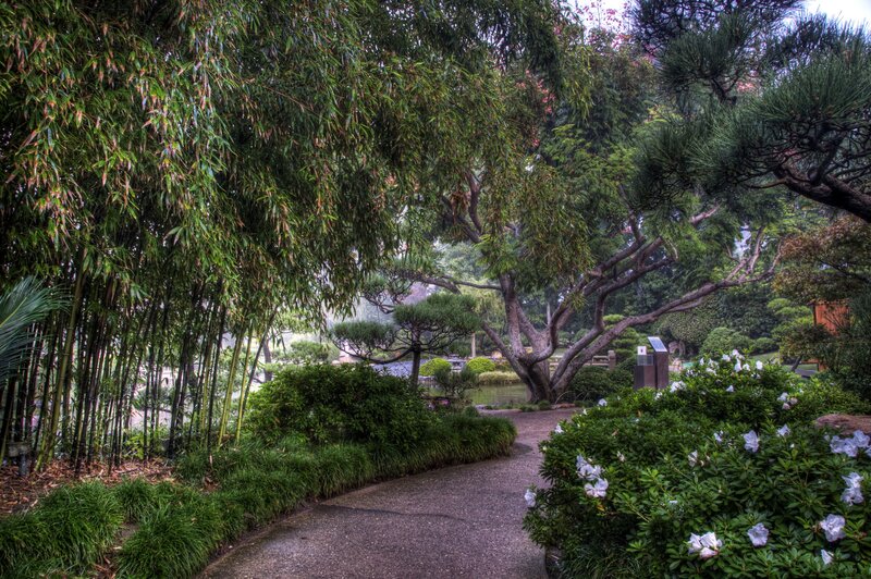 Path in Bamboo Garden