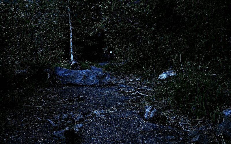 Path in Dark Forest