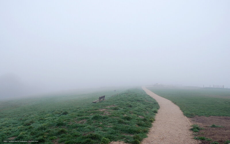 Path in Foggy Field