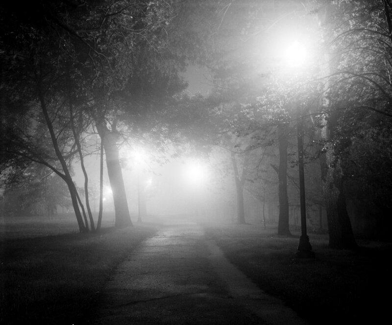 Path in Foggy Park
