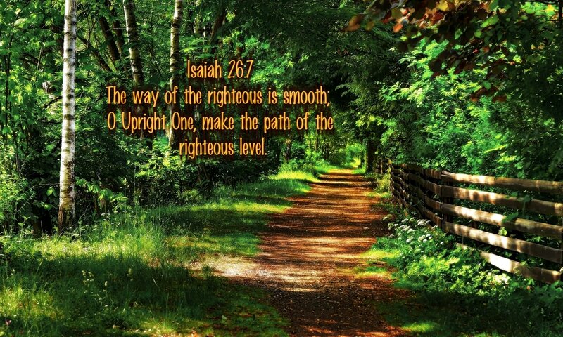 Path in Forest
