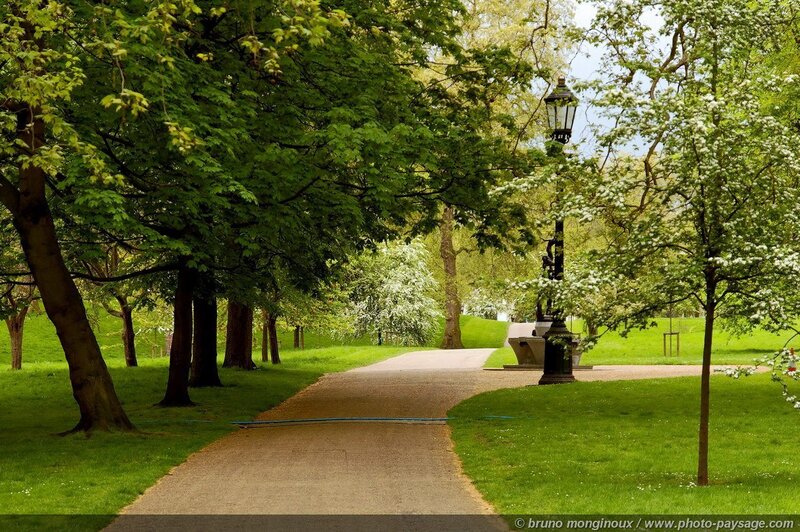Path in Green Park