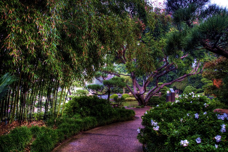 Path in Japanese Garden