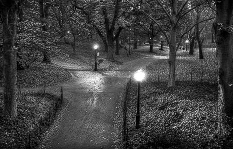 Path in Leaf-covered Park