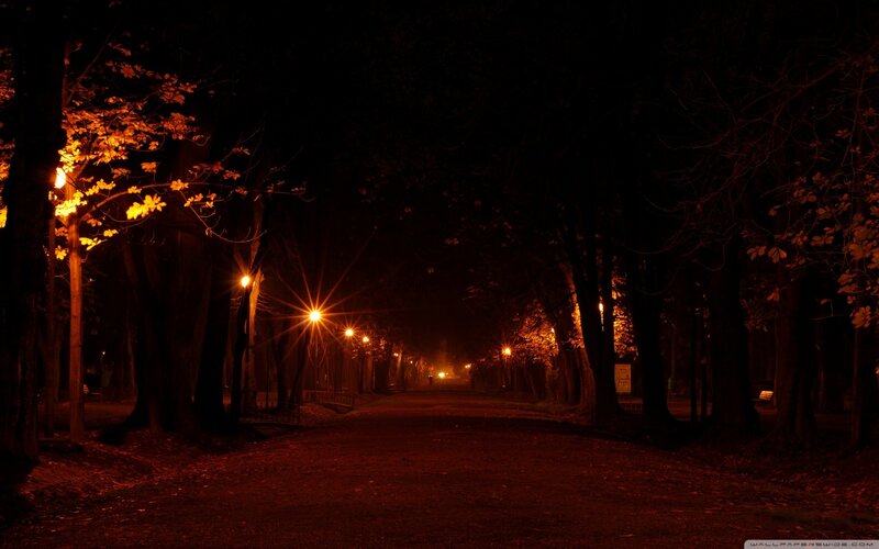 Path in Park at Night — Black
