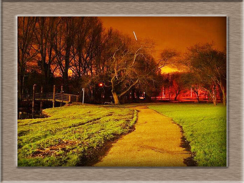 Path in Park at Night