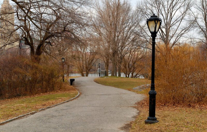 Path in Park with Lamppost