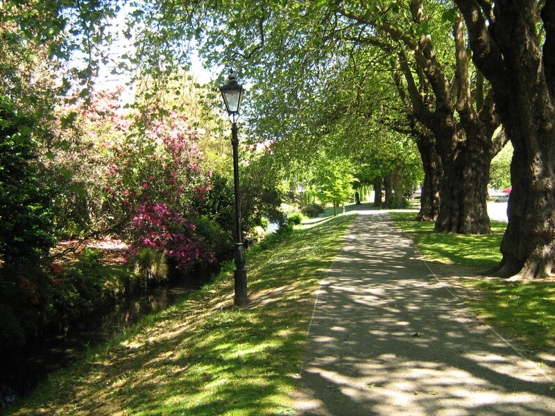 Path in Park with Trees — Green