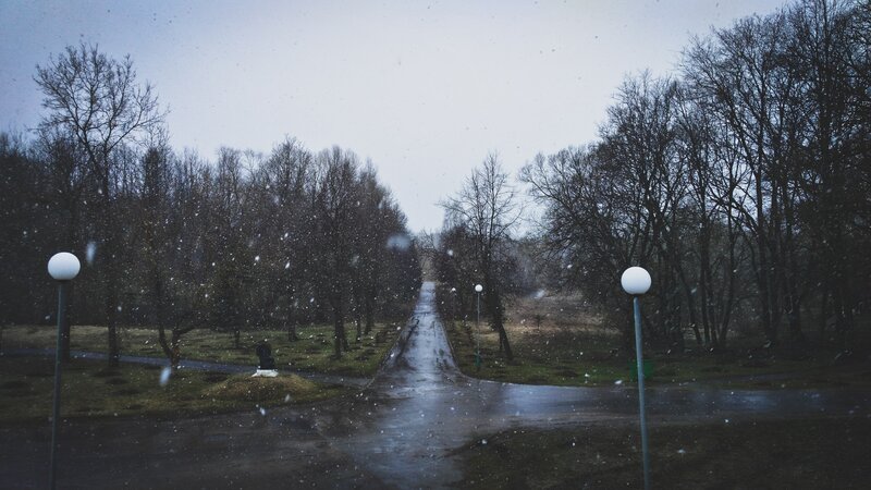 Path in Snowy Park