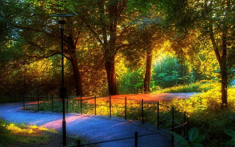 Path in Sunlit Park — Green, Serene, Sunset
