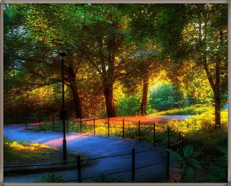 Path in Sunlit Park — Green