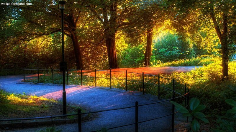 Path in Sunlit Park