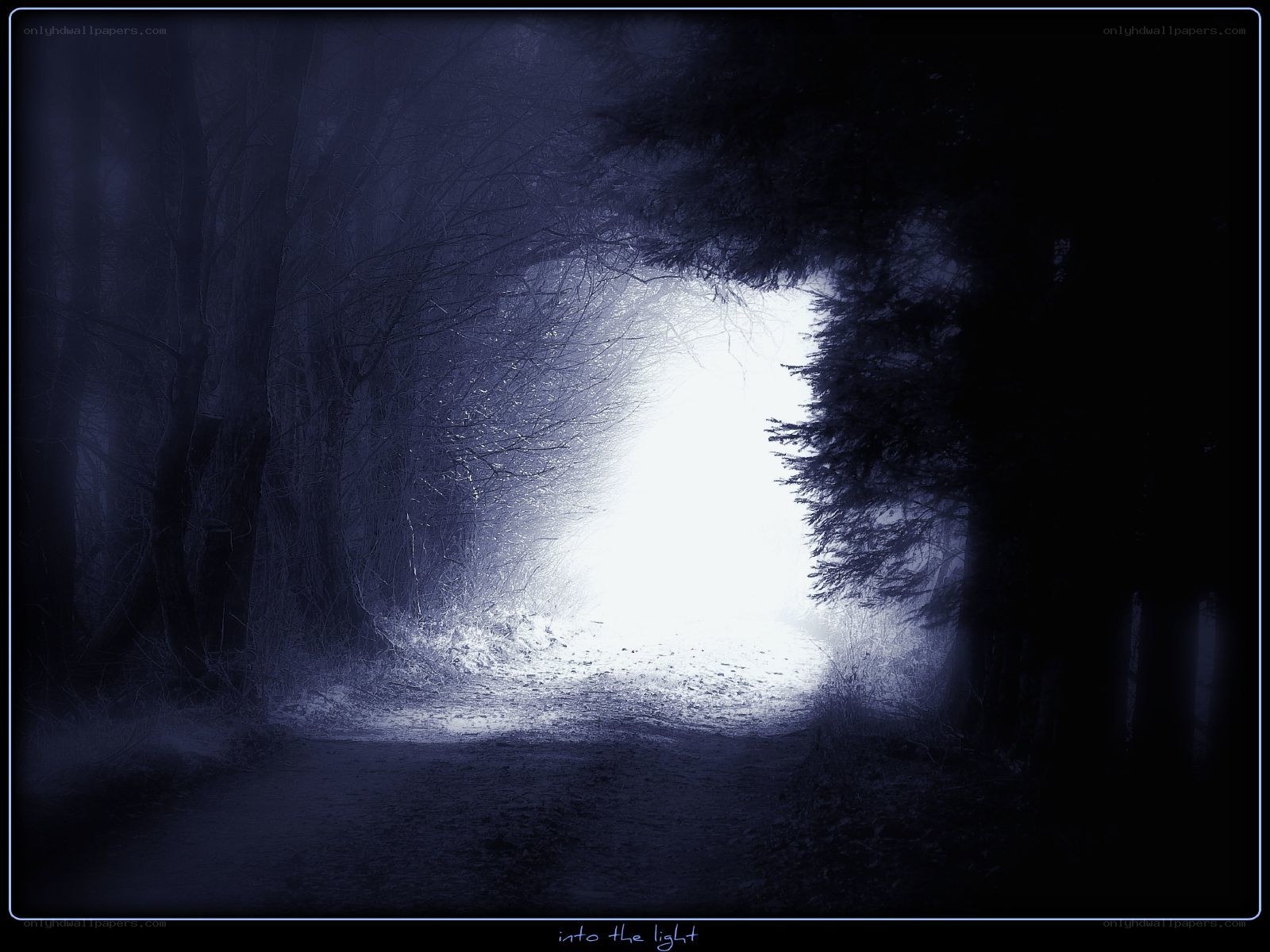path into the light