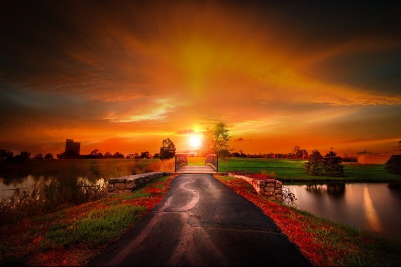 Path Leading to Bridge