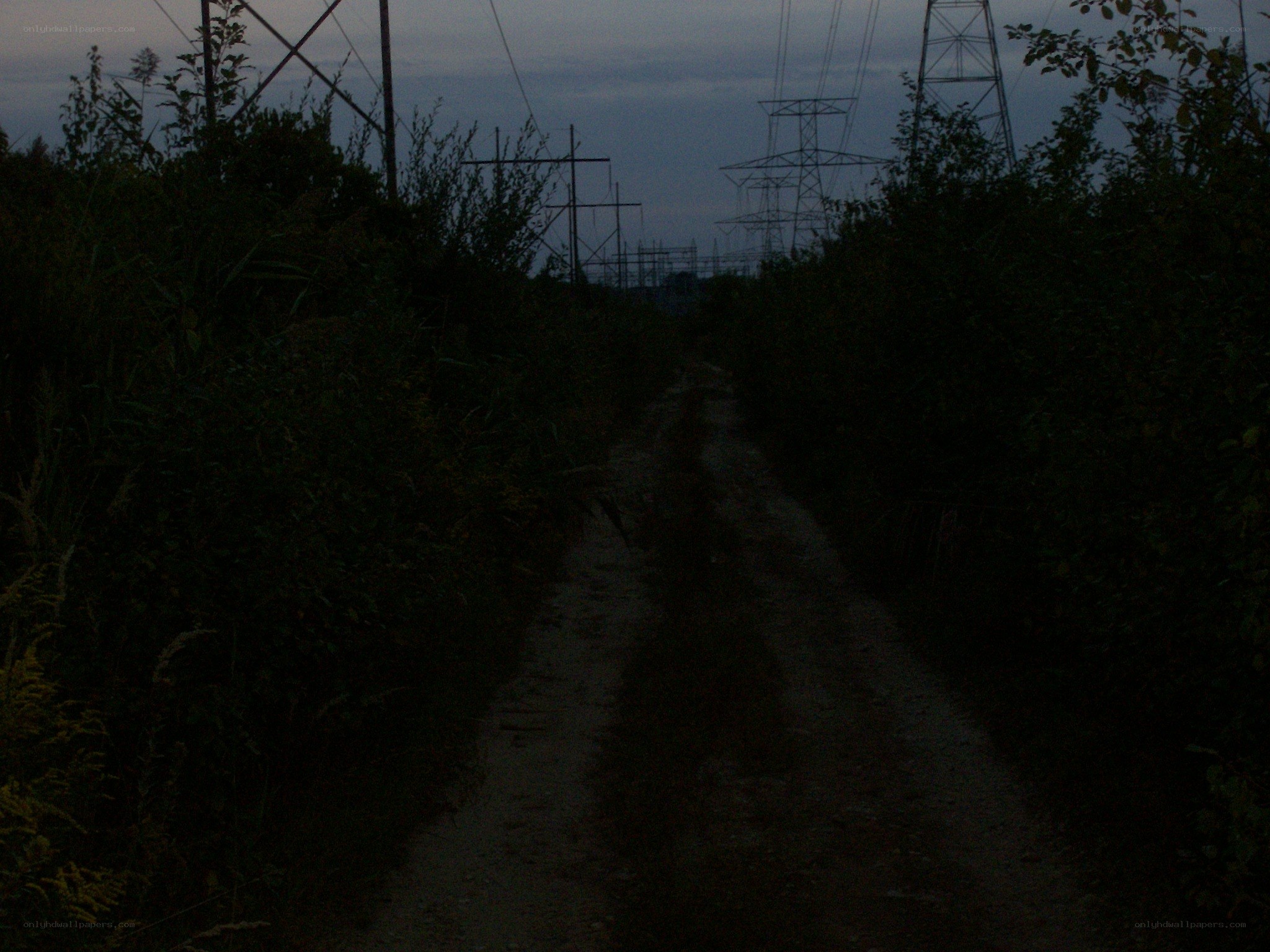 path near power lines at dusk